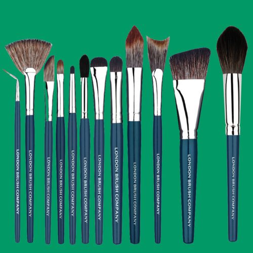 Pro Vegan Makeup Brush Set