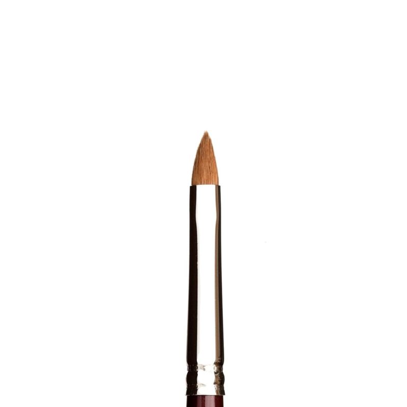 Delicate Lip